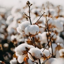 Load image into Gallery viewer, Turkish Wash Cloth Dove-Poppy Street